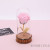 Eternal flower rose dome glass cover mother's day gift box candied bouquet gift set with lamp