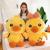Creative down cotton doll, express it in little duck plush toy four side play doll sleep pillow a hair replacement