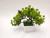 New white moon - shaped color - green - value star simulation bonsai flower office decoration