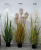 Simulation of flower pot reed flower onion plant pot 