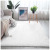 Carpet Customized Floor Mat Nordic Simple Plush Soft Solid Color Silk Carpet Living Room Study Bedroom Full Shop