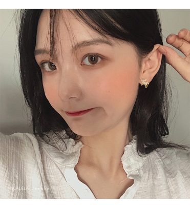 Unicorn Earrings 2020 New Trendy Korean Temperament Ear Studs High Sense Ear Clip French Style Online Influencer Fashion Earrings