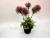 New black basin and pink dandelion flower bonsai living room decoration false flower accessories