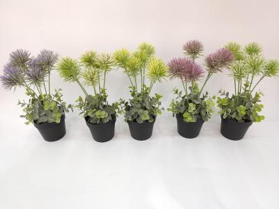 New black basin and pink dandelion flower bonsai living room decoration false flower accessories