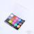 Fifteen-Color Transparent Plastic Box Packaging Body Face DIY Painting Pigment with a Brush