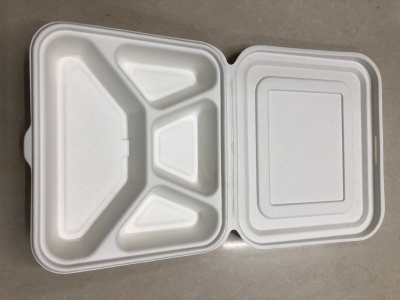 Biodegradable Environmental Disposable Lunch Box