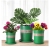 Simple and practical flowerpot with many colors