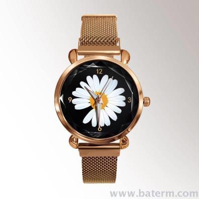 Web celebrity hot-selling instagram big dial magnetic suction strap small Daisy ladies watch students watch