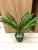 12 heads of Brazilian gladiolus leaf bunches corn leaf film cloth simulation plant