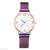 Foreign trade new  ladies fashion quartz watch alloy mesh belt four-leaf clover design factory direct sales