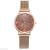 Foreign trade new  ladies fashion quartz watch alloy mesh belt four-leaf clover design factory direct sales