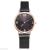 Foreign trade new  ladies fashion quartz watch alloy mesh belt four-leaf clover design factory direct sales