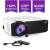 Intelligent network projector