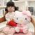 Hello, a stuffed toy. A hallo Kitty doll for a girl's birthday