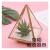 DIY Glass Vase Pendant ornament glass flower House Fleshy Plant Glass Welding Flower House