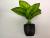 New black green apple leaf simulation plant green value bonsai flowers photographed with green props