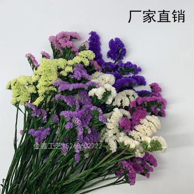 Eternal flowers forget-me-not flower shop flower arrangement material birthday gift office home decoration floral