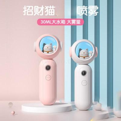 Space Cat Water Replenishing Instrument Rechargeable Portable Cute Pet Hydrating Nano Anion Humidifier Cat Spray Humidifier