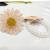 Daisy Hair Ring Bracelet Hair Accessories Ornament