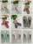 Korean Home shoes, Pure cotton non-slip home shoes,