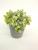 New frosted basin plus powder millet orchid simulation bonsai green European wind false flower decoration