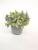 New frosted basin plus powder millet orchid simulation bonsai green European wind false flower decoration