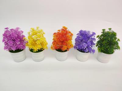 New white basin colorful chrysanthemum grass simulation bonsai decorative accessories flowers plastic plant green leaves