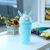 Web celebrity bunny head ice cream cup large capacity straw double layer cold water protection cup student gift portable cute