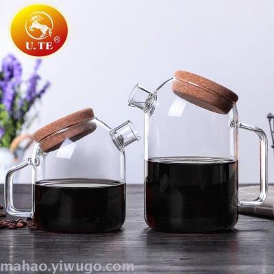Heat-resisting glass teapot