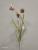 3 heads of zhejiang fritillary bulb imitation flower artificial flower artificial flower furniture hotel we