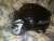 Harley-davidson helmet battery electric motorcycle male and female summer half helmet breathable helmet