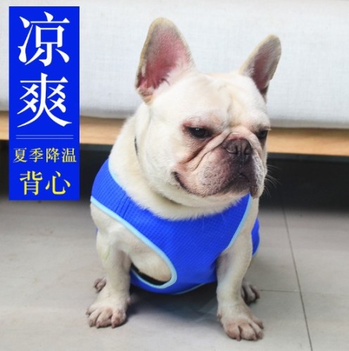 Factory Direct Sales Pet Cooling Clothes Dog Cool Vest Summer Heat Relief Artifact Pet Supplies Dog Clothes
