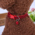 Love is still pet nylon collar dog collar dog collar dog collar pet leash dog chain pet supplies