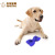 Factory Direct Sales High Quality Popular Dog Bite TPR Food Leakage Frozen Square Bone Pet Toy Pet Puzzle