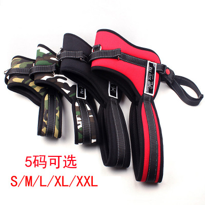 K8 large pet leash dog chest strap outdoor anti-loss pet supplies foreign trade best-selling products