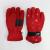 Ski gloves wholesale waterproof and windproof thermal gloves