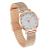 Ibso2020 Best-Seller on Douyin Temperament Wild Necklace Women's Watch Simple Watch Women's 3 Pieces Gift Set