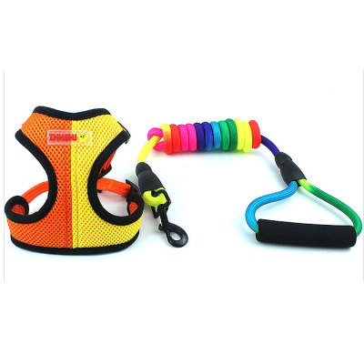 Pet Supplies Factory Direct Sales New Breathable Chest Strap Dog Hand Holding Rope Dog Leash Suit in Stock Wholesale