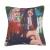 Cotton and linen printed pillow cover sofa living room pillow back office chair back sample room bedside pillow cover