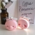 Factory Direct Pig LED Lamp Mirror Pocket Fan Charging Web Celebrity Mini Cosmetic Mirror Small Fan Burst