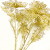 Simulation flower gold powder across top grade European flower Plant Direct hot style Christmas Accessories cuttings