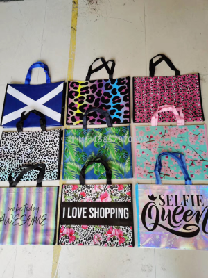 Eco-friendly Bag, Woven Shopping Bag, Non-Woven Color Coated Handbag
