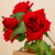 High Branch Simulation rose 4 head down rose single fake wedding long Silk flower Home decoration floor flower