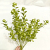 Pearl fruit Chive powder plastic Bouquet A Christmas Tree Christmas americas Simulation flower Christmas Accessories