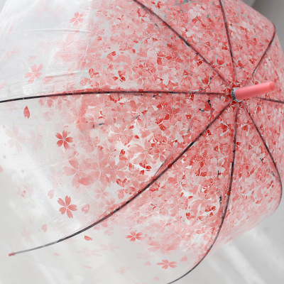 Spot retro candy color Fresh Apollo Princess Transparent umbrella cherry umbrella long handle transparent straight umbrella