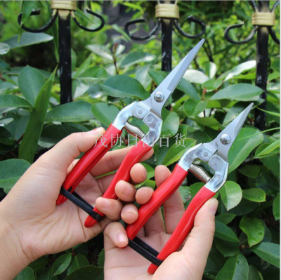 Fruit plucking fruit plucking thin fruit plucking grape shears stainless steel pruning shears flower arranging