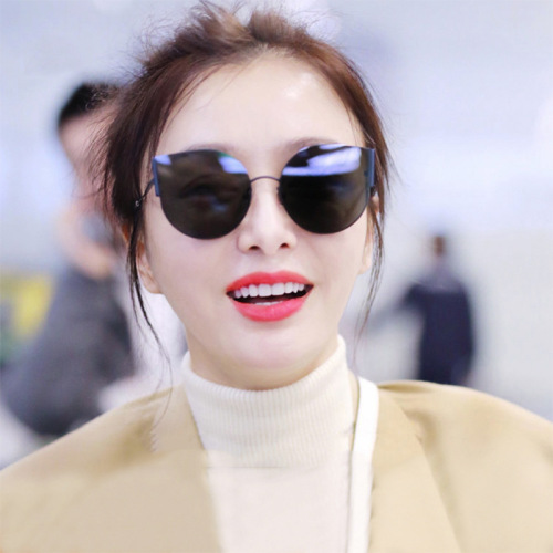 Polarized Sunglasses Female Male Star Online Celebrity Glasses Fashion Metal Large Frame European and American Large Frame Qin Lan Same Sunglasses 