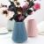 Simple Plastic Color Vase New Year household wand Flower Flowers Have been created to create the clockwork dining room table