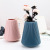 Nordic Creative Vase decorated ceramic decoration dry wet flower decoration Enamel Plastic Factory Direct selling 3516