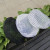 Instagram Hat Ladies Summer Net Wave Berets Berets Korean Version of fashion Lace Hat Painter Flat Top Hat Trend